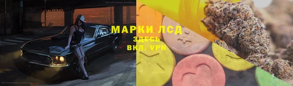 стаф Карталы